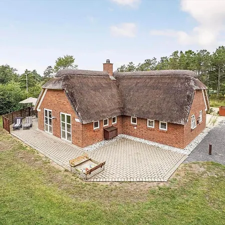 Bv463-blavand-pouls-bjerge-2 *